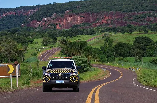 "Estrada Viva" amplia ações em rodovias para reduzir acidentes com animais