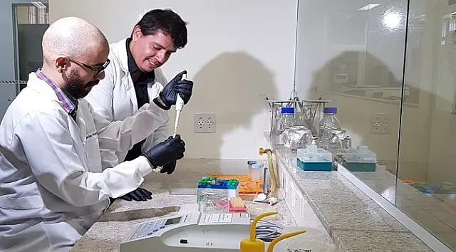 Pesquisa de cientistas de MS será analisada quanto ao seu potencial antiviral