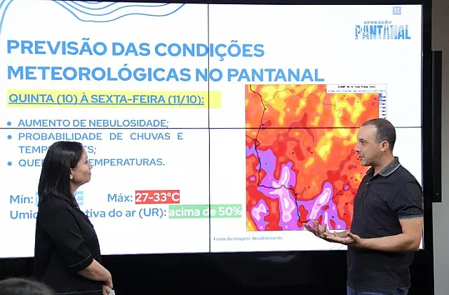 Chuva contribui para extinção de incêndios florestais em MS