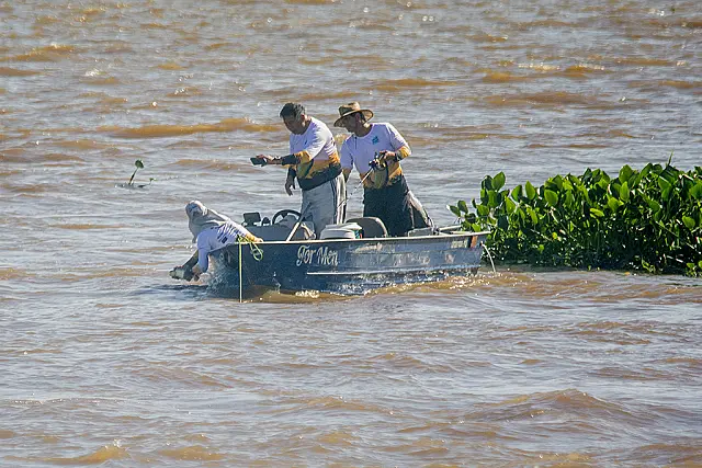 PMA reforça regras e proibições da pesca durante a piracema em MS