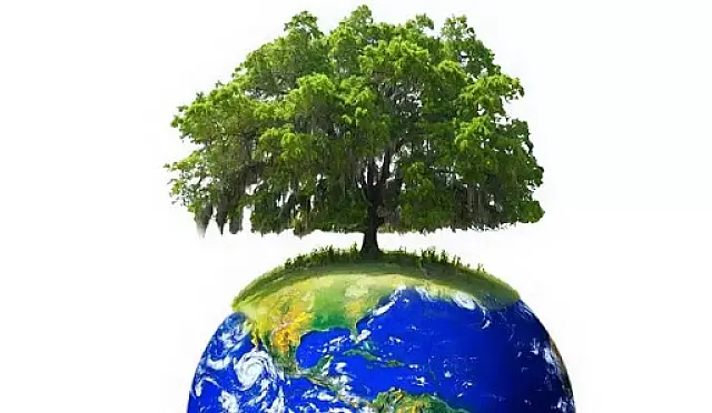 No Dia Mundial do Meio Ambiente, MS fortalece ações de prevenção e sustentabilidade