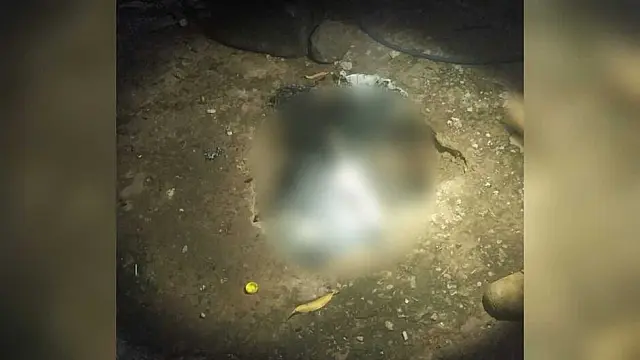Mulher é morta e corpo encontrada em cova rasa na Capital