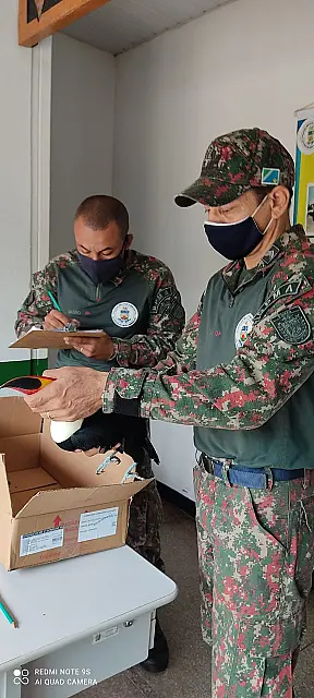Tucano atropelado é resgatado em rodovia que liga Bonito a Guia Lopes da Laguna