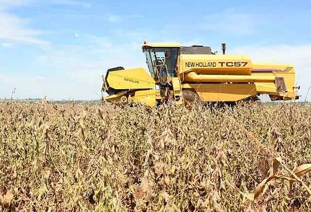 Com colheita da soja no fim, MS projeta produção de 11,2 milhões de toneladas