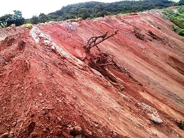 PMA de Aquidauana autua mineradora por enterrar madeira protegida por lei