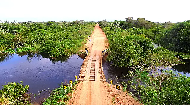 Boas estradas e pontes seguras facilitam a retirada do gado do Pantanal na cheia