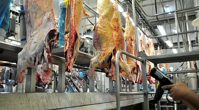 Mais dois frigoríficos de Mato Grosso do Sul são habilitados a exportar carne à China