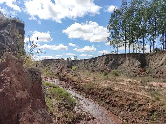 Em área de preservação, PMA encontra erosões de até 3 km e 30 metros de largura