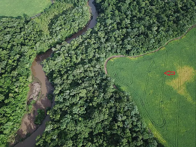 Homem é autuado em R$ 20 mil por plantio de lavoura em área protegida