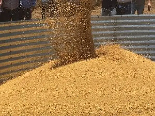 Terenos sedia a abertura nacional do Plantio de Soja da Safra 2018/2019