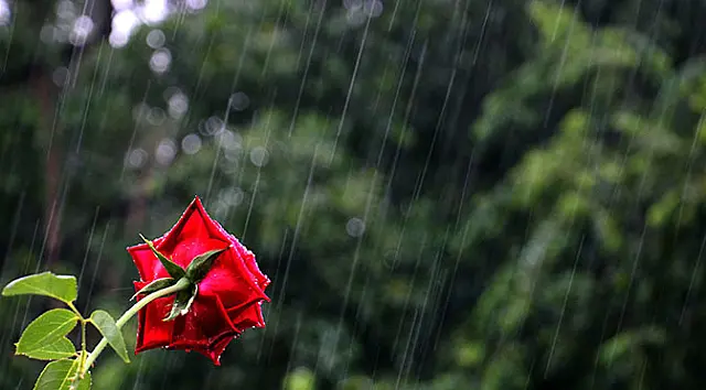 Chuva muda o clima em grande parte do Estado a partir desta quarta-feira