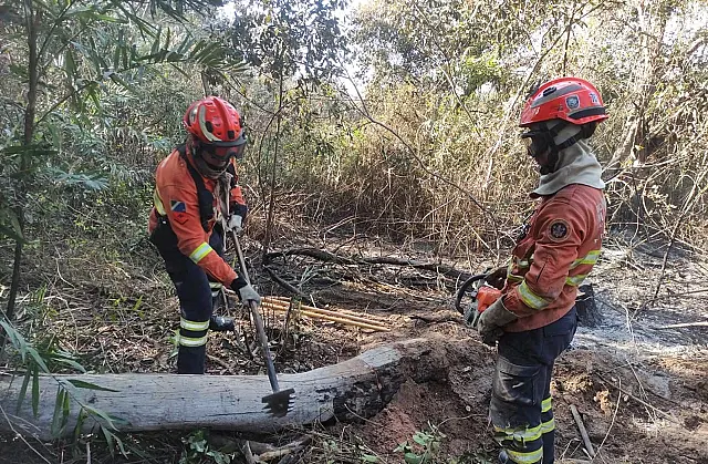Operação Pantanal: MS mantém trabalho de extinção das chamas