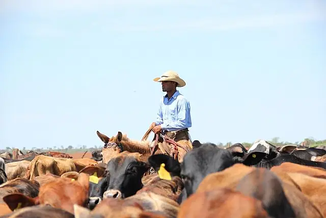 Senar/MS vai reformular Assistência Técnica e Gerencial para produtores do Pantanal