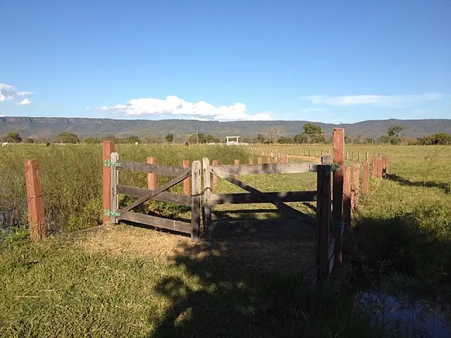 Peão desaparecido em área rural diz ter sofrido ataque de jacaré