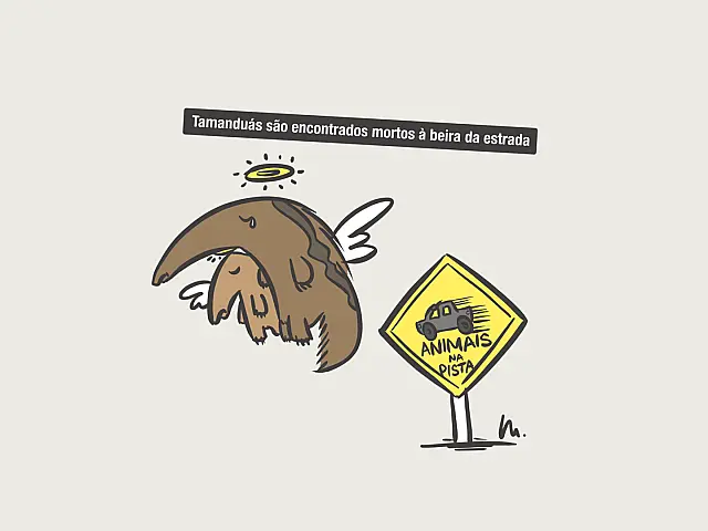 Perigo: Animais na pista