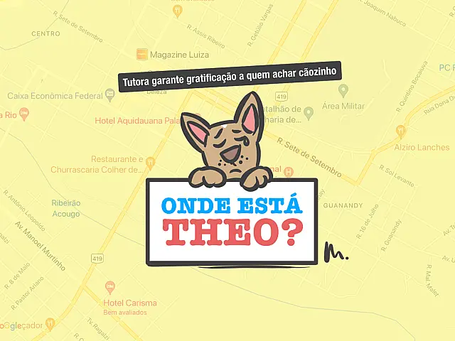 Desaparecido