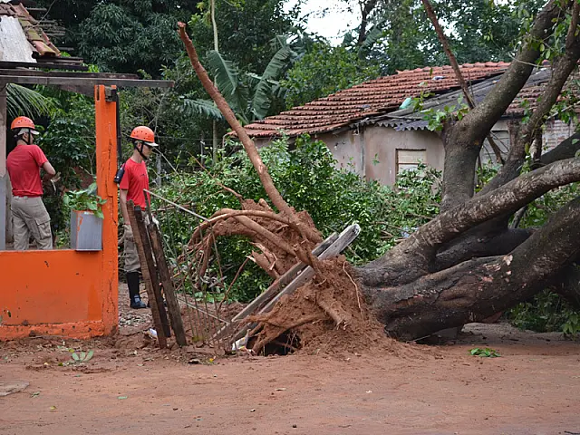Chuva e ventos fortes destelham casas e derrubam árvores em Aquidauana e Anastácio