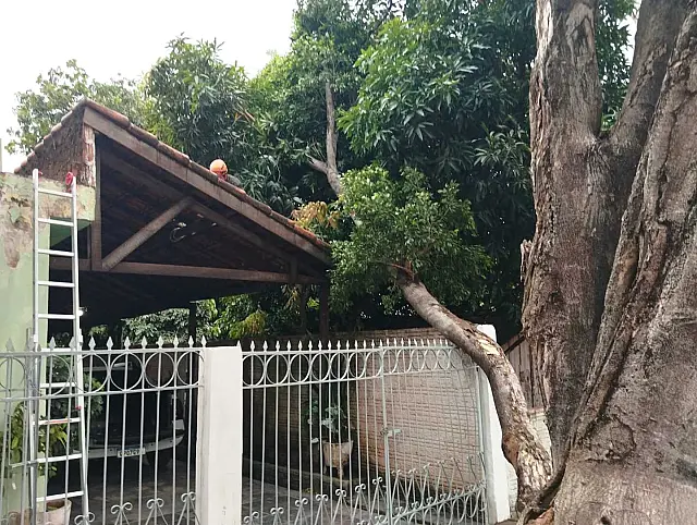 Vento derruba galho de árvore e danifica portão de casa em Corumbá