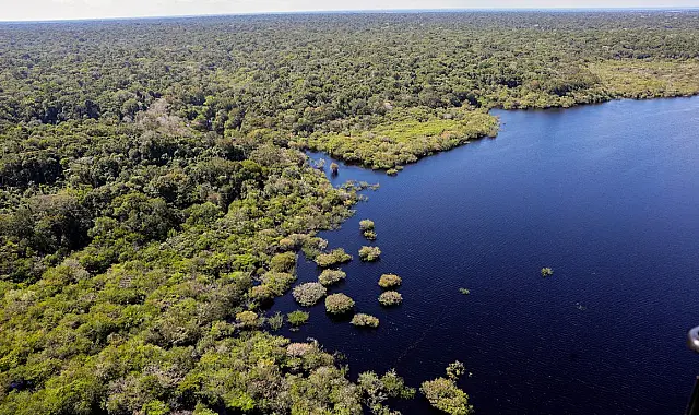 União Europeia fará doação de R$ 120 milhões ao Fundo Amazônia