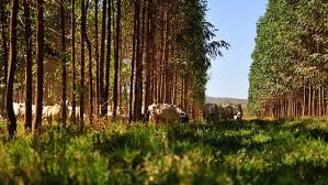 Projeto Rural Sustentável - Cerrado divulga pesquisas em seminário