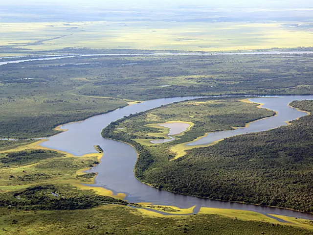 Na Semana do Meio Ambiente, governo de MS destaca ações realizadas nos últimos seis anos