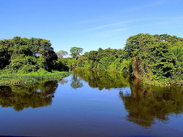 “Educação Ambiental no Pantanal” entra no calendário oficial de eventos de MS