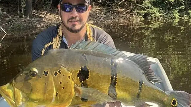 Empresário é encontrado morto pelo próprio pai