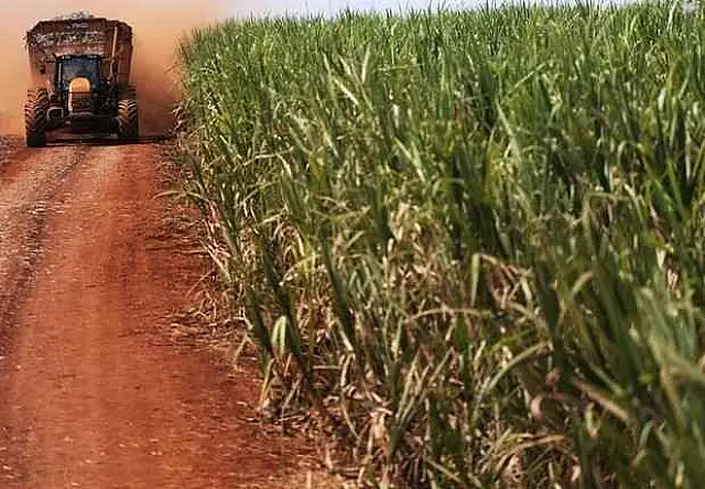 Decreto reacende polêmica em MS sobre plantação de cana no Pantanal