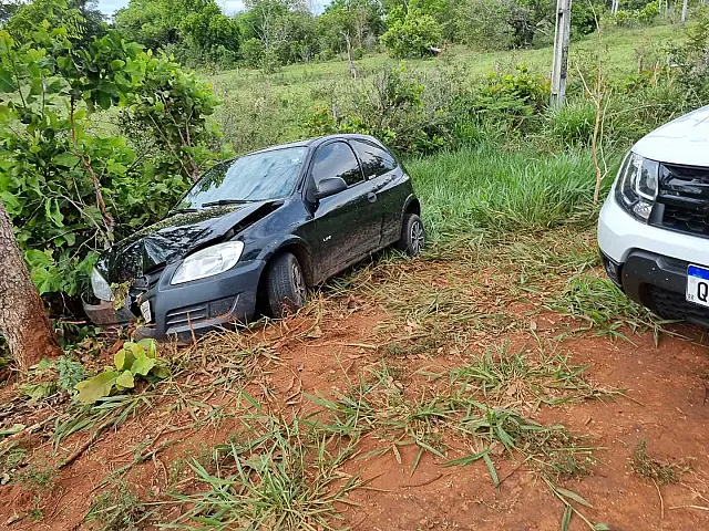 Motorista desvia de animal e sai da pista na MS-450