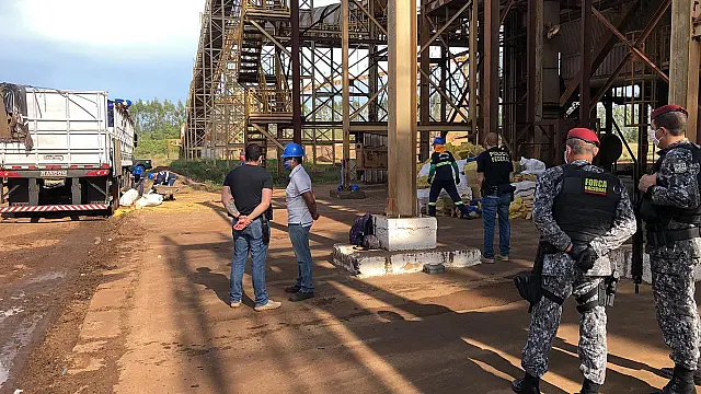PF incinera maior apreensão de drogas da história feita em MS