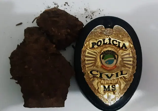 Mãe é presa tentando levar drogas para o filho em delegacia