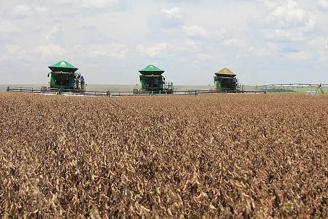 Com aumento de 28%, Plano Safra do BB atesta robustez do agronegócio em MS