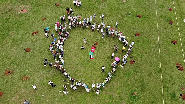 MS comemora declaração de Direitos Humanos com plantio de mudas de árvores