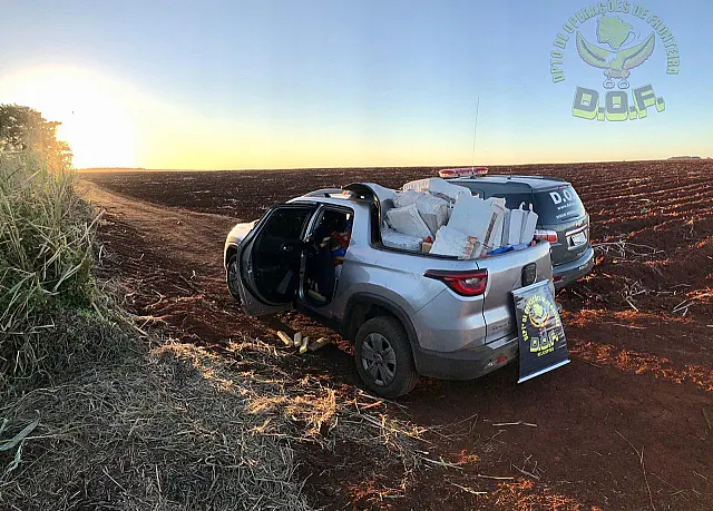 DOF encontra veículo carregado com maconha em plantação de milho