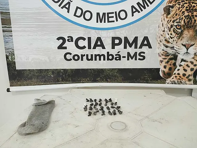 PMA de Corumbá vai atender a denúncia de pesca predatória e apreende cocaína