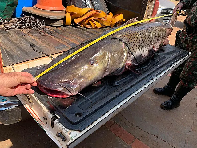 Operação Big Fish II aplicou mais de R$ 500 mil em multas no feriado em MS