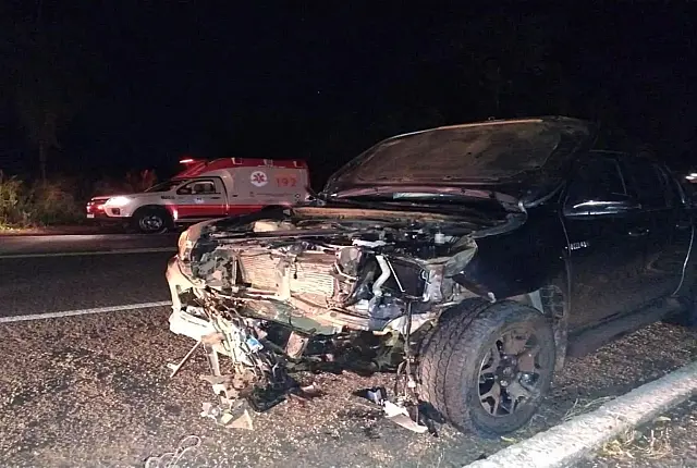 Idosos em caminhonete se ferem ao colidir em anta na BR-262
