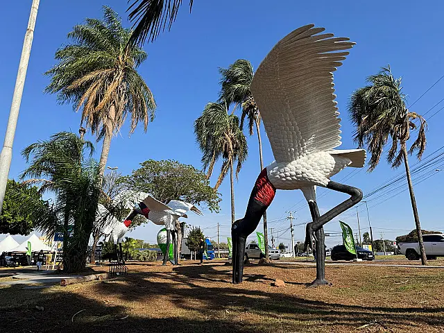 Monumento dos Tuiuiús é revitalizado no Aeroporto de Campo Grande