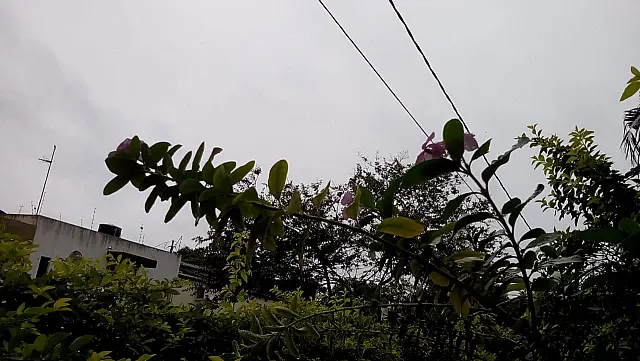 Apesar das temperaturas altas, chove à tarde e à noite em Aquidauana e região