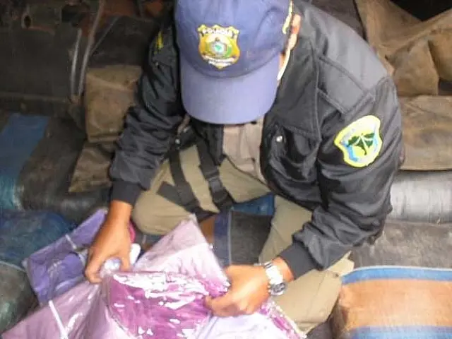 PRF apreende 4,6 toneladas de roupas contrabandeadas