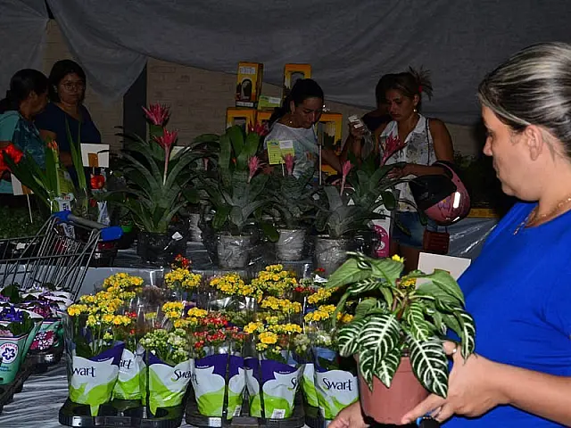 Lions Clube traz para Aquidauana a 2ª Expoverde Flor