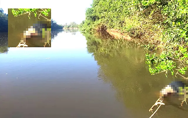 Bombeiros encontram corpo de jovem de 25 anos que se afogou no rio Aquidauana
