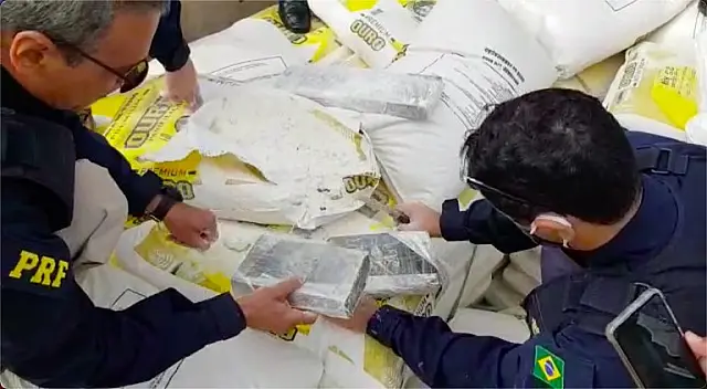 PRF apreende meia tonelada de cocaína escondida em sacos de trigo