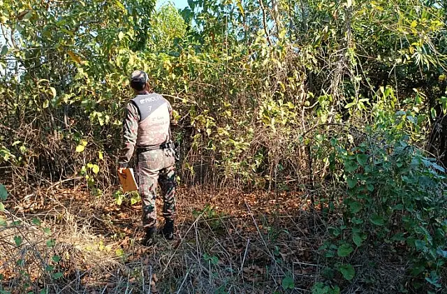 PMA da Polícia Militar auxilia no combate aos incêndios no Pantanal