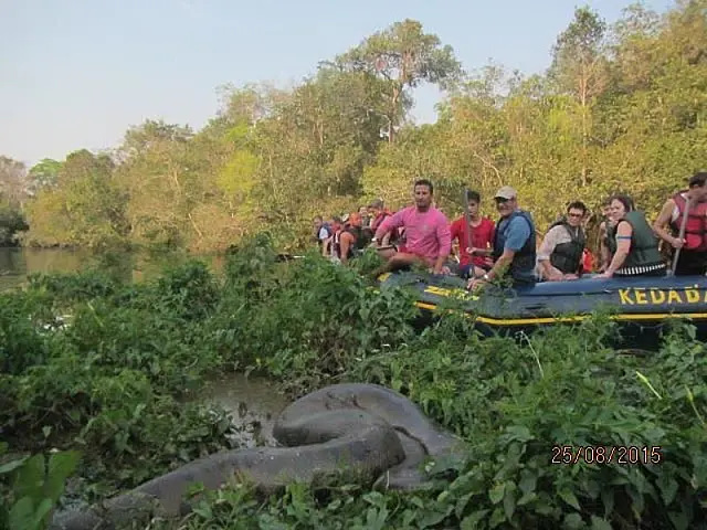 Sucuri é avistada durante passeio de bote em Bonito