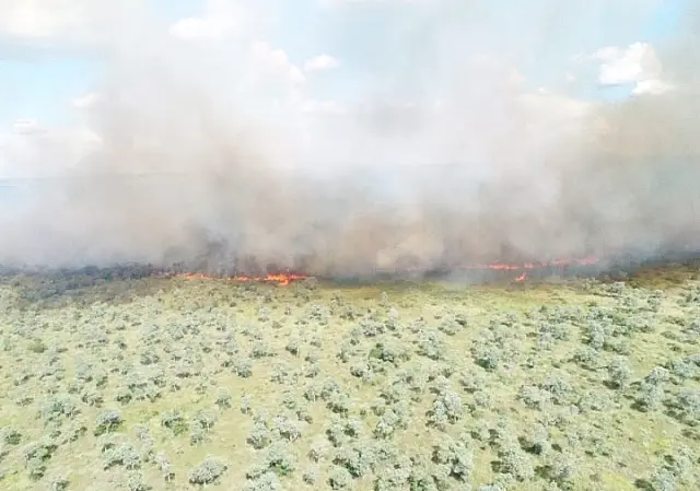 Pecuaristas e bombeiros fazem força tarefa para conter fogo no Pantanal