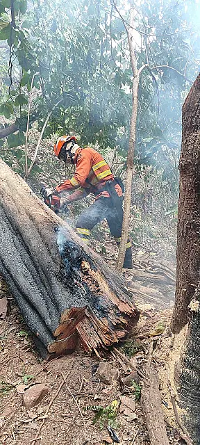 Bombeiros controlam incêndio de grandes proporções em Anastácio
