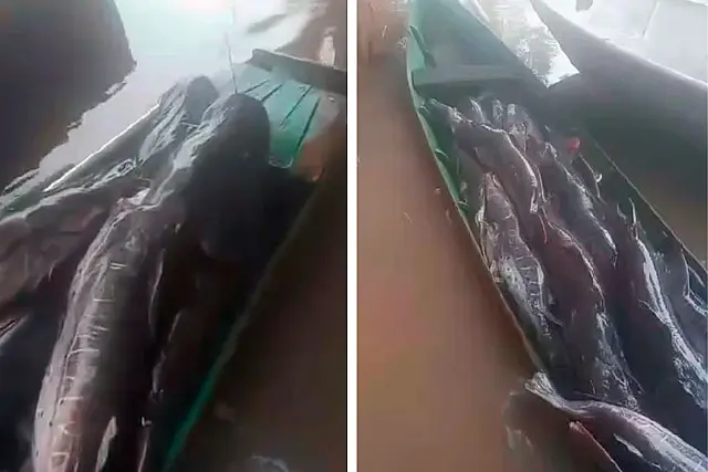 Dupla é autuada por pesca no Rio Aquidauana e multados em R$ 30 mil