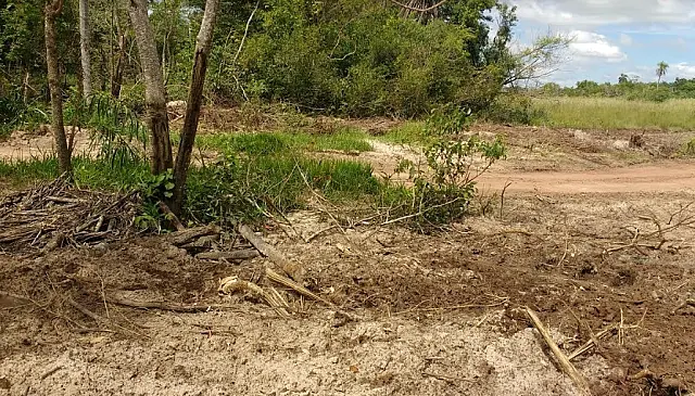 Pecuarista de Jardim é multado em R$ 5 mil por desmatamento