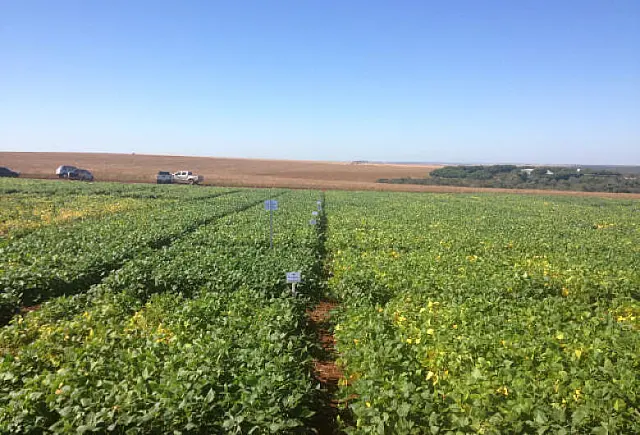 Senado aprova MP que facilita empréstimos para produtores rurais